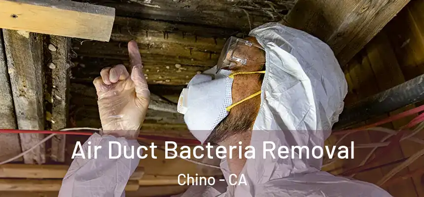  Air Duct Bacteria Removal Chino - CA