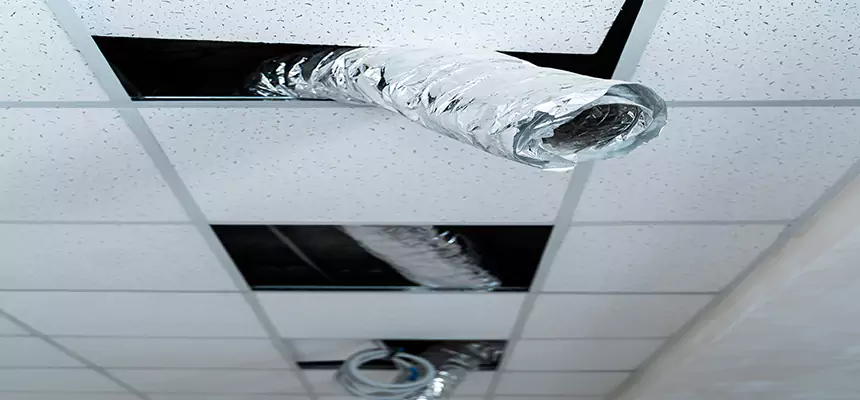 Affordable HVAC Sanitizing After Pest Removal in Chino