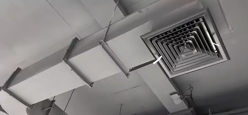 Restorative Allergy Relief Vent Cleaning – Coil, Blower & Housing Detail in Chino