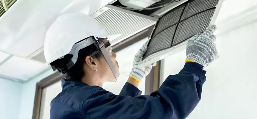 Our Mold & Mildew Removal from Air Ducts Services in Chino, CA