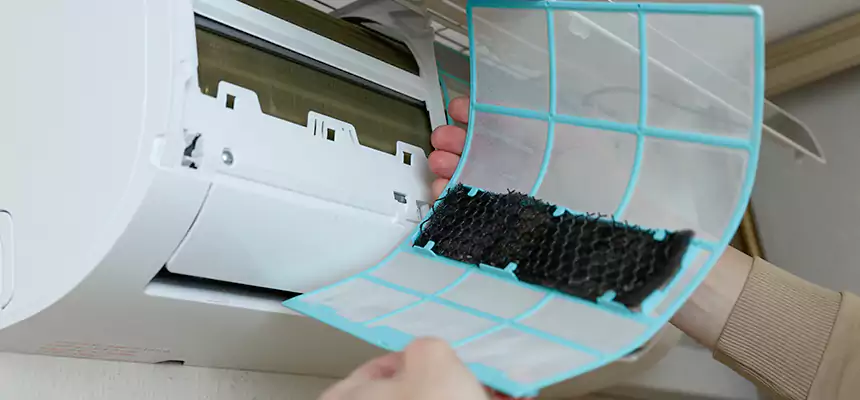 Gentle Ductwork Odor-Control Pet Dander Duct Cleaning in Chino, CA