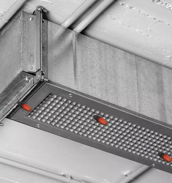About Air Duct Cockroach Removal in Chino, CA