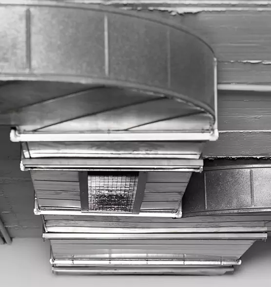 Professional Air Duct Pest Removal in Chino, CA